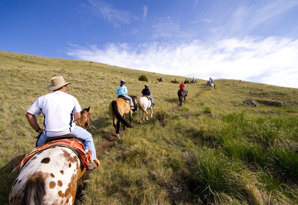 Blog - Horseback riding