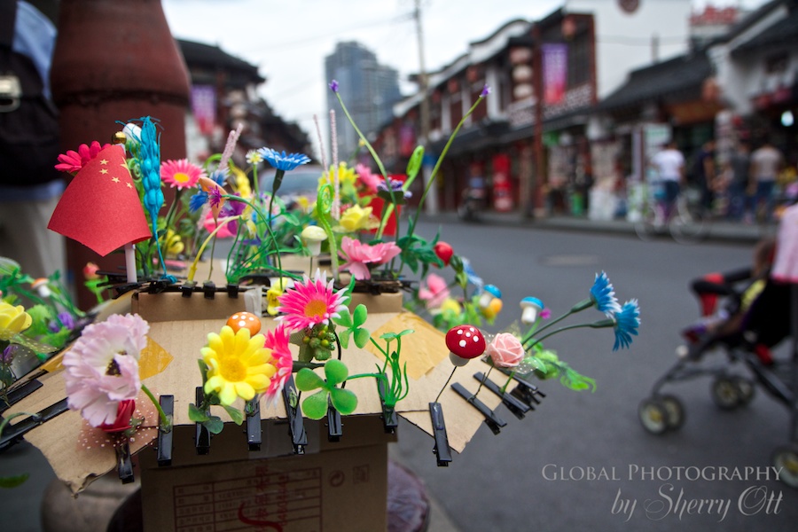 China’s latest craze sold on the streets of the Old Town – flower sprouts
