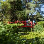 Japanese-Gardens-Irish-National-Stud_Web-Size